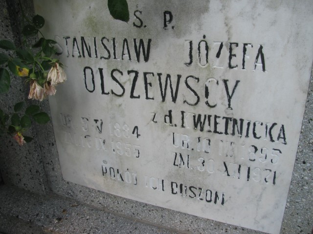 Stanisław Olszewski 1884 Legnica - Grobonet - Wyszukiwarka osób pochowanych