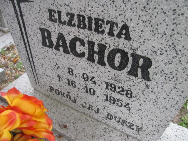 Elżbieta Bachor 1928 Legnica - Grobonet - Wyszukiwarka osób pochowanych