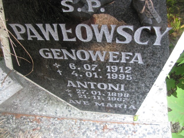 Antoni Pawłowski 1898 Legnica - Grobonet - Wyszukiwarka osób pochowanych