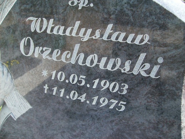 Bogdan Mokrzycki 1946 Legnica - Grobonet - Wyszukiwarka osób pochowanych