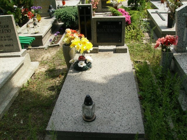 Stefan Krajewski 1913 Legnica - Grobonet - Wyszukiwarka osób pochowanych