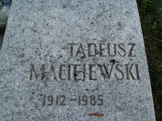 Tadeusz Maciejewski 1912 Legnica - Grobonet - Wyszukiwarka osób pochowanych