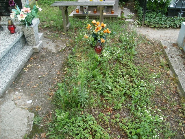  NN Legnica - Grobonet - Wyszukiwarka osób pochowanych