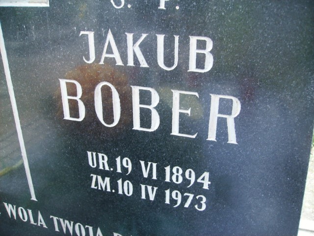 Anna Bober 1899 Legnica - Grobonet - Wyszukiwarka osób pochowanych