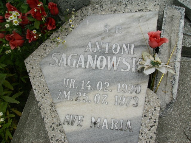 Antoni Saganowski 1930 Legnica - Grobonet - Wyszukiwarka osób pochowanych