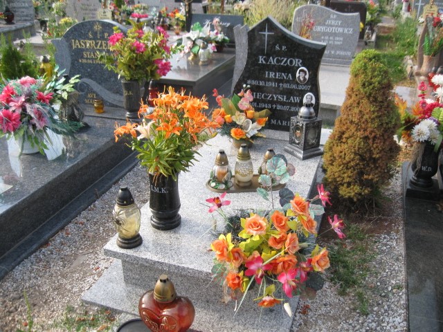 Mieczysław Kaczor 1943 Legnica - Grobonet - Wyszukiwarka osób pochowanych