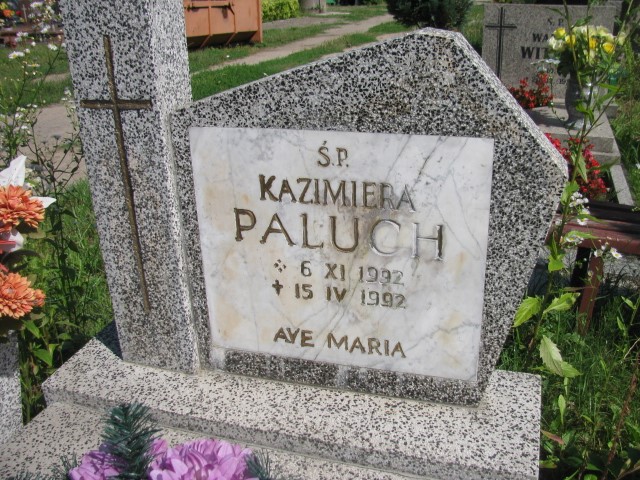 Kazimiera Paluch 1922 Legnica - Grobonet - Wyszukiwarka osób pochowanych