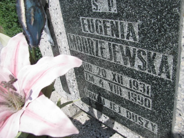 Jerzy Modrzejewski 1953 Legnica - Grobonet - Wyszukiwarka osób pochowanych