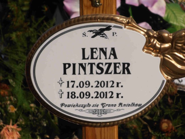 Lena Pintszer 2012 Legnica - Grobonet - Wyszukiwarka osób pochowanych