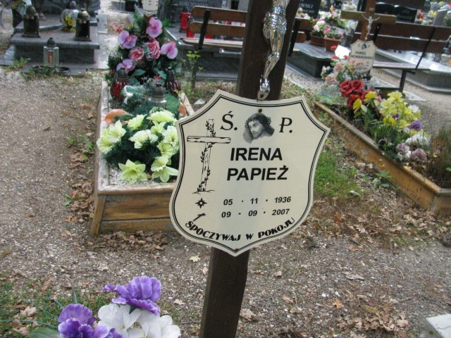 Andrzej Papież 1956 Legnica - Grobonet - Wyszukiwarka osób pochowanych