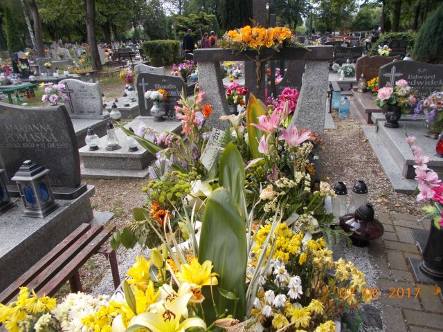 Grób Marian Klemensiewicz