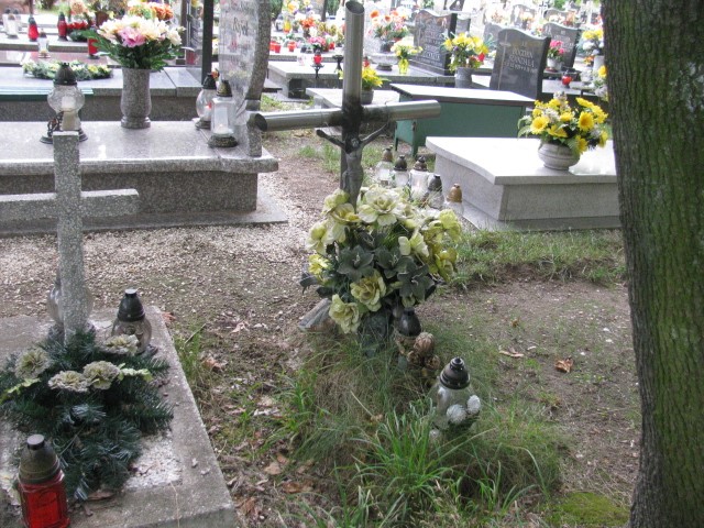  NN Legnica - Grobonet - Wyszukiwarka osób pochowanych