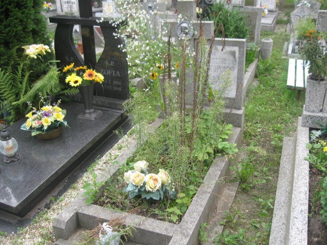 Mieczysław Nowopolski 1911 Legnica - Grobonet - Wyszukiwarka osób pochowanych