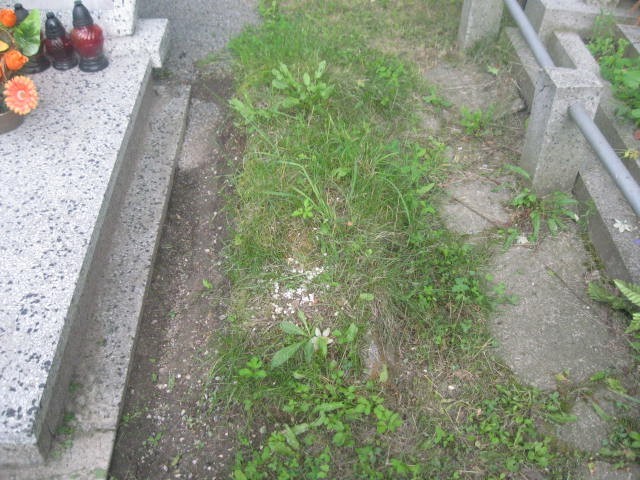  NN Legnica - Grobonet - Wyszukiwarka osób pochowanych