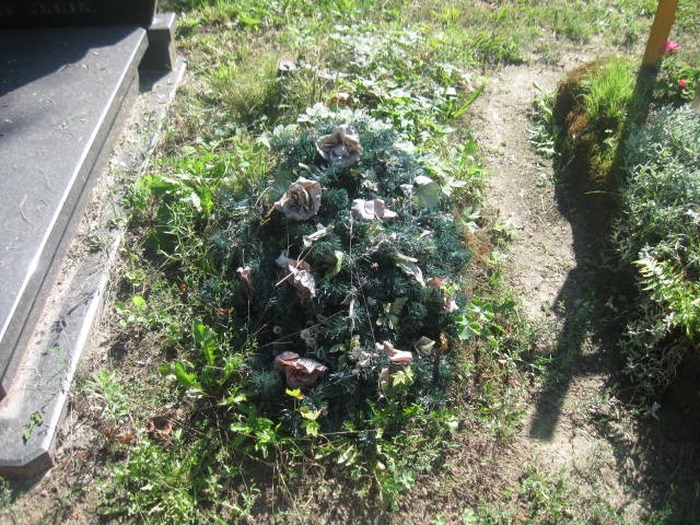  NN Legnica - Grobonet - Wyszukiwarka osób pochowanych