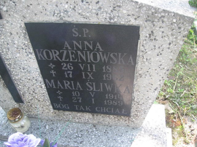 Anna Korzeniowska 1885 Legnica - Grobonet - Wyszukiwarka osób pochowanych