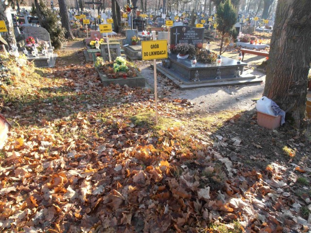 NN NN Legnica - Grobonet - Wyszukiwarka osób pochowanych