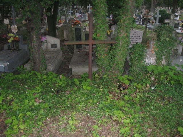  NN Legnica - Grobonet - Wyszukiwarka osób pochowanych