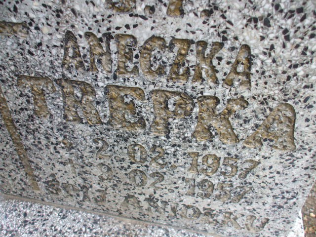 Anna Trepka 1957 Legnica - Grobonet - Wyszukiwarka osób pochowanych
