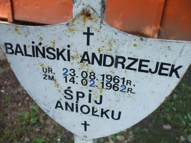 Andrzej Baliński 1961 Legnica - Grobonet - Wyszukiwarka osób pochowanych