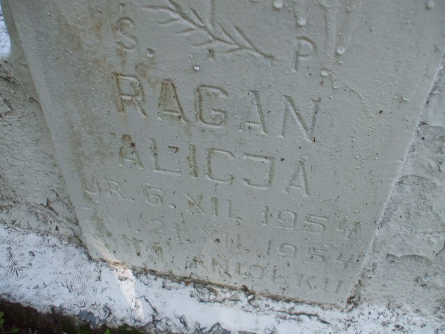 Alicja Ragan 1954 Legnica - Grobonet - Wyszukiwarka osób pochowanych