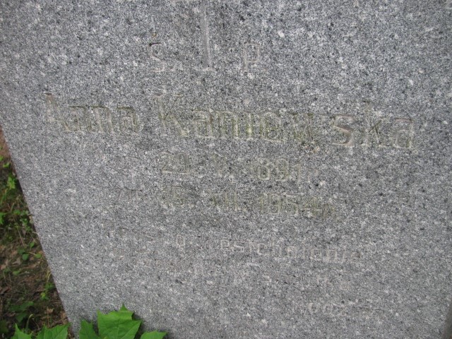 Anna Kamiewska 1891 Legnica - Grobonet - Wyszukiwarka osób pochowanych