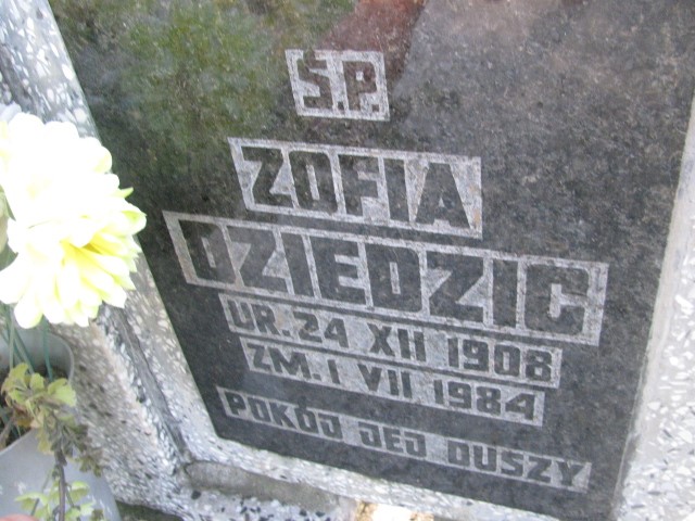 Zofia Dziedzic 1908 Legnica - Grobonet - Wyszukiwarka osób pochowanych