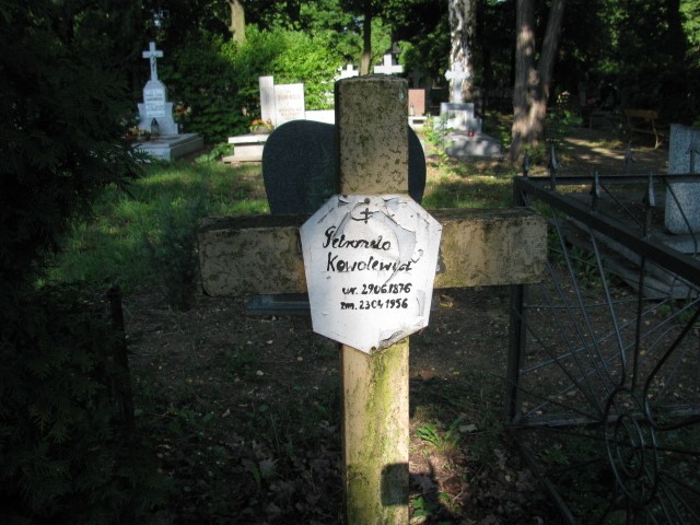 Petronela Kowolewicz 1876 Legnica - Grobonet - Wyszukiwarka osób pochowanych