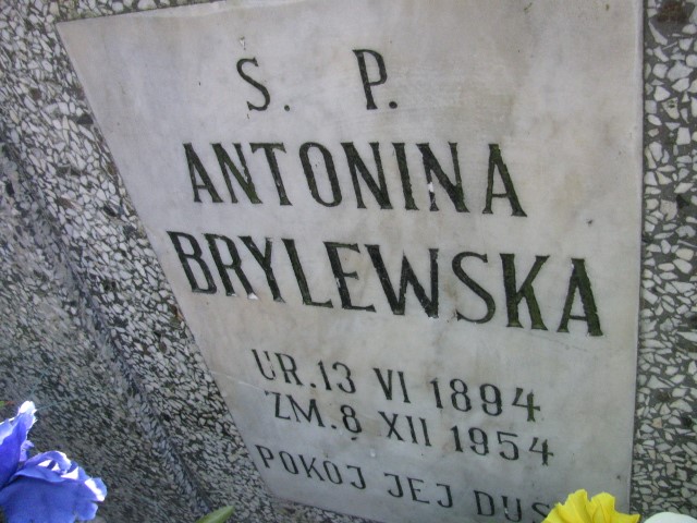 Feliks Brylewski 1884 Legnica - Grobonet - Wyszukiwarka osób pochowanych
