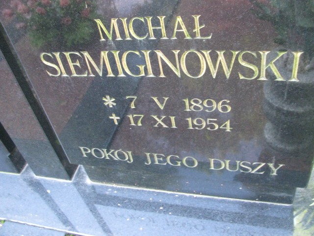 Michał Siemiginowski 1896 Legnica - Grobonet - Wyszukiwarka osób pochowanych