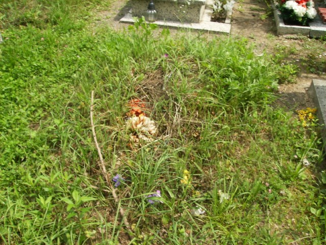  NN Legnica - Grobonet - Wyszukiwarka osób pochowanych