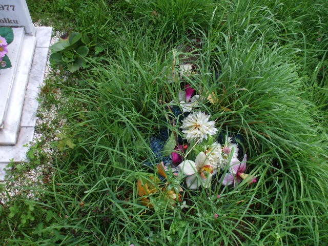  NN Legnica - Grobonet - Wyszukiwarka osób pochowanych