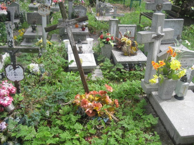  NN Legnica - Grobonet - Wyszukiwarka osób pochowanych