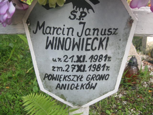 Marcin Janusz Winowiecki 1981 Legnica - Grobonet - Wyszukiwarka osób pochowanych