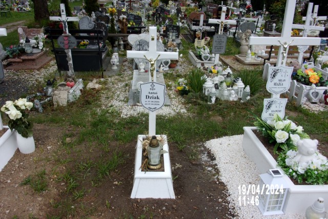 Antoni Dziak 2024 Legnica - Grobonet - Wyszukiwarka osób pochowanych