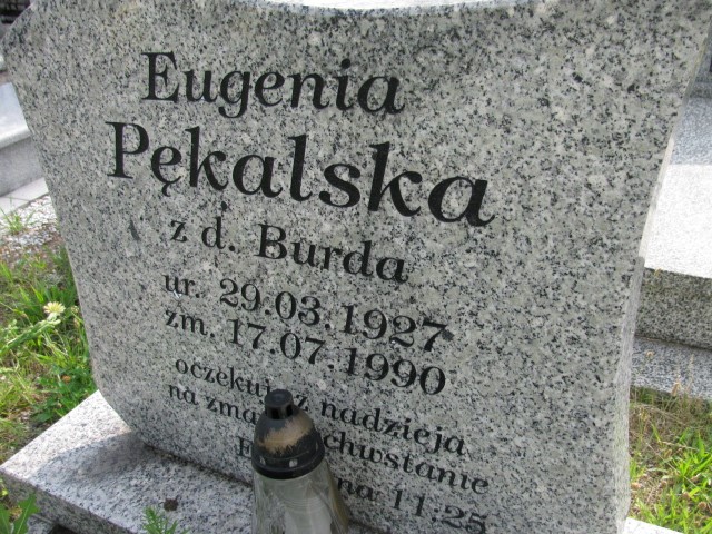 Adam Pękalski 1965 Legnica - Grobonet - Wyszukiwarka osób pochowanych