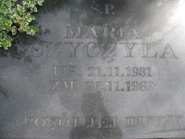 Maria Czyczyła 1931 Legnica - Grobonet - Wyszukiwarka osób pochowanych