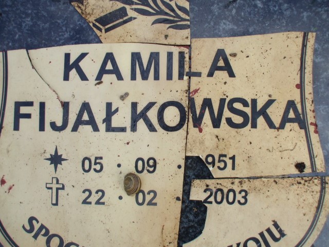 Kamila Fijałkowska 1951 Legnica - Grobonet - Wyszukiwarka osób pochowanych