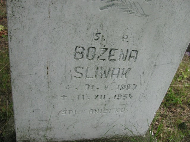 Bożena Sliwak 1953 Legnica - Grobonet - Wyszukiwarka osób pochowanych
