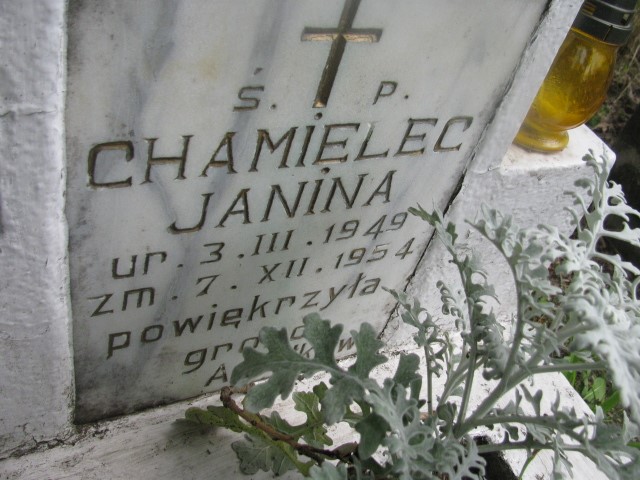 Janina Chamielec 1949 Legnica - Grobonet - Wyszukiwarka osób pochowanych