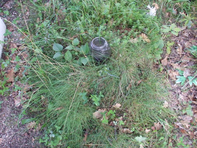  NN Legnica - Grobonet - Wyszukiwarka osób pochowanych