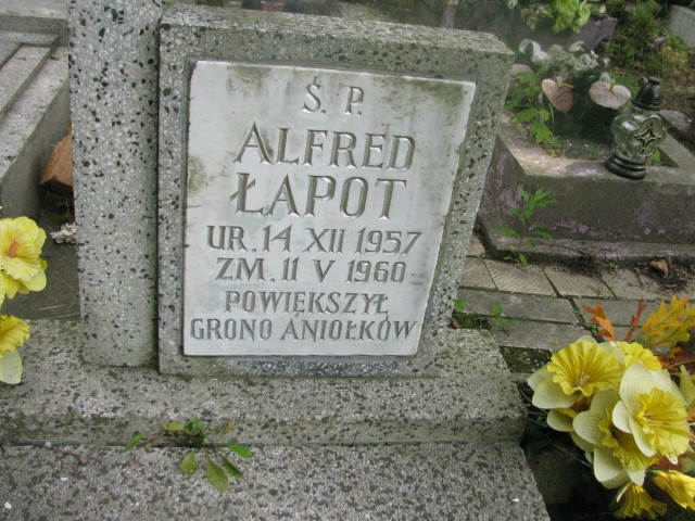 Alfred Łapot 1957 Legnica - Grobonet - Wyszukiwarka osób pochowanych