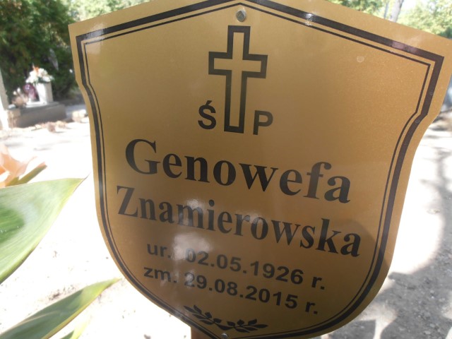 Mirosław Nowak 1959 Legnica - Grobonet - Wyszukiwarka osób pochowanych