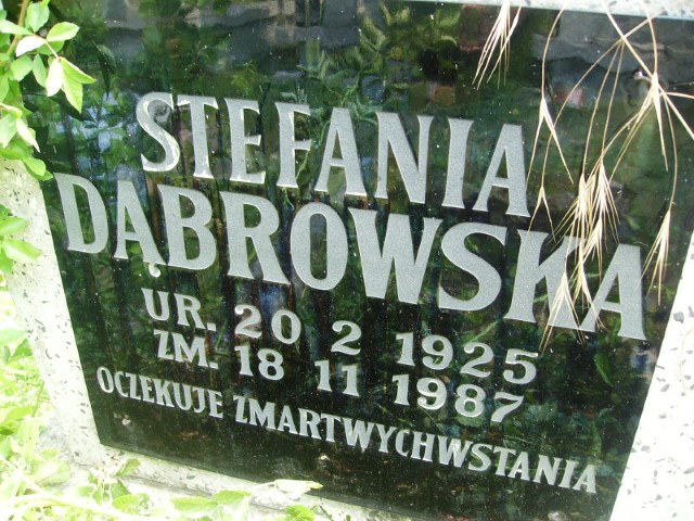 Zdjęcie grobu