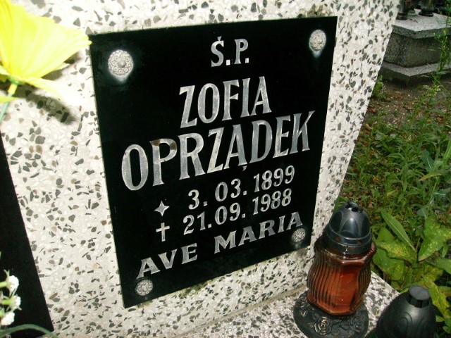 Eugeniusz Wójcik 1936 Legnica - Grobonet - Wyszukiwarka osób pochowanych