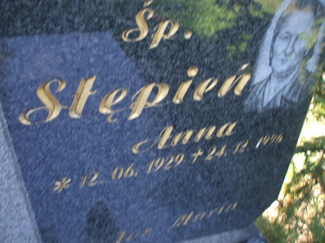 Anna Stępień 1929 Legnica - Grobonet - Wyszukiwarka osób pochowanych