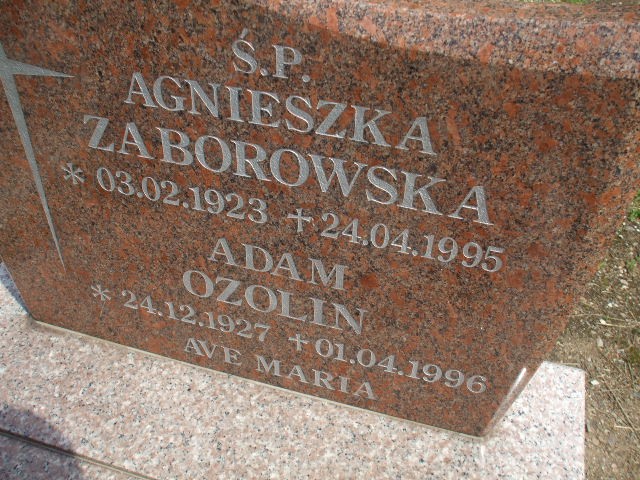 Adam Ozolin 1927 Legnica - Grobonet - Wyszukiwarka osób pochowanych