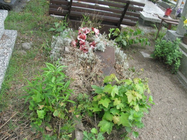  NN Legnica - Grobonet - Wyszukiwarka osób pochowanych