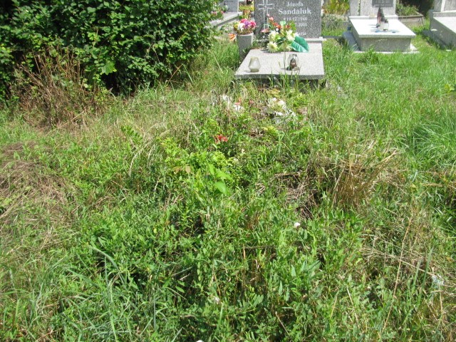  NN Legnica - Grobonet - Wyszukiwarka osób pochowanych