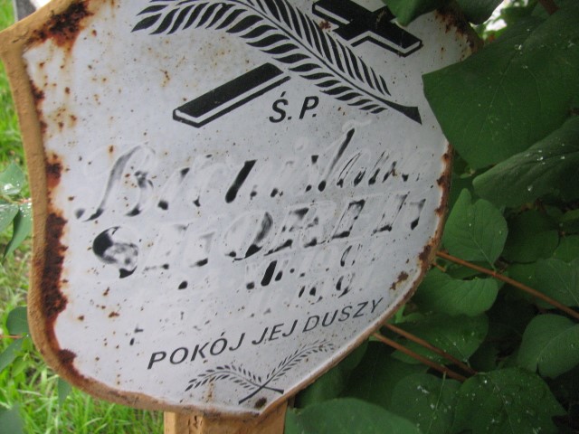 Bronisława Skorek 1904 Legnica - Grobonet - Wyszukiwarka osób pochowanych